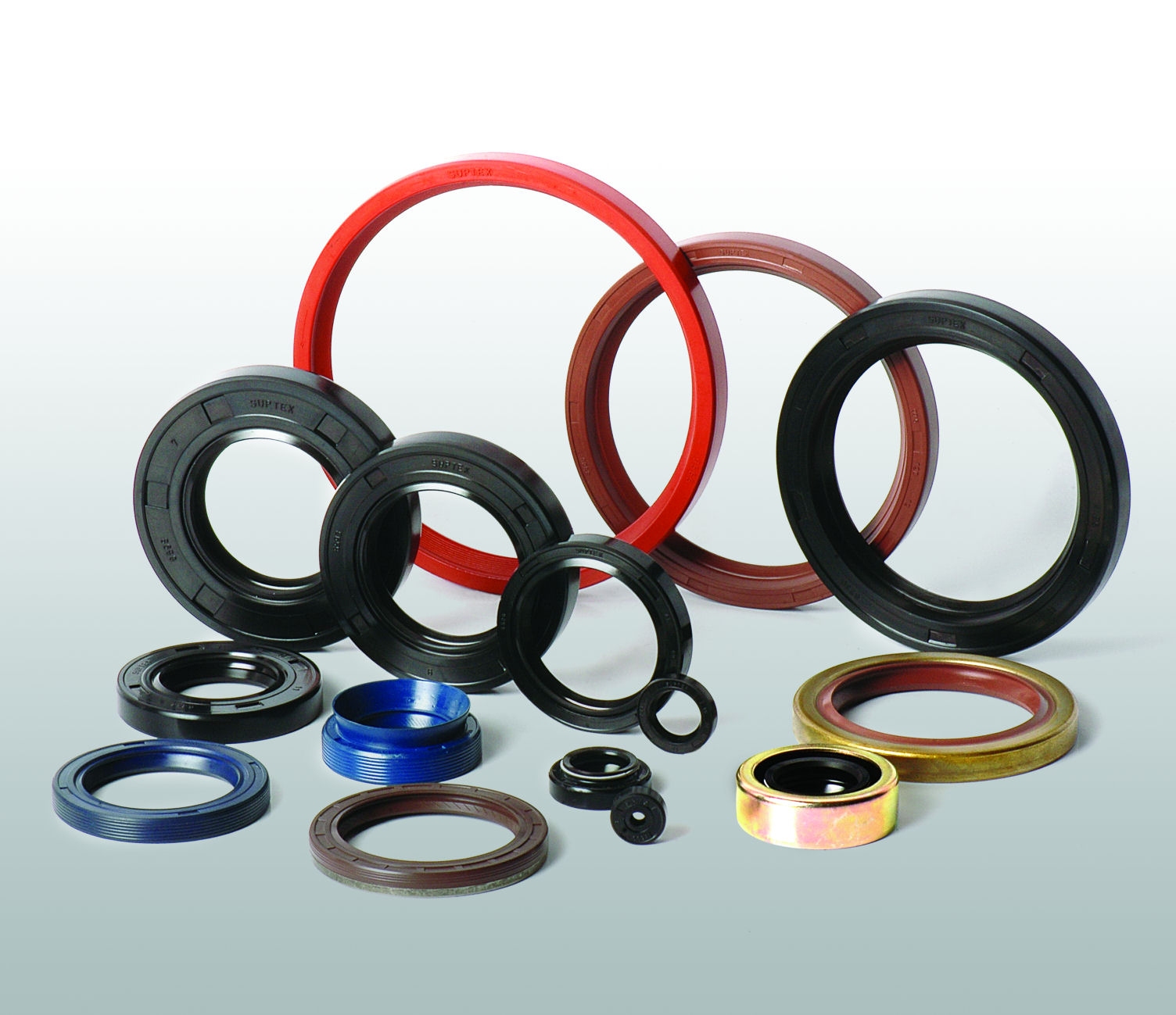 Oil Seals